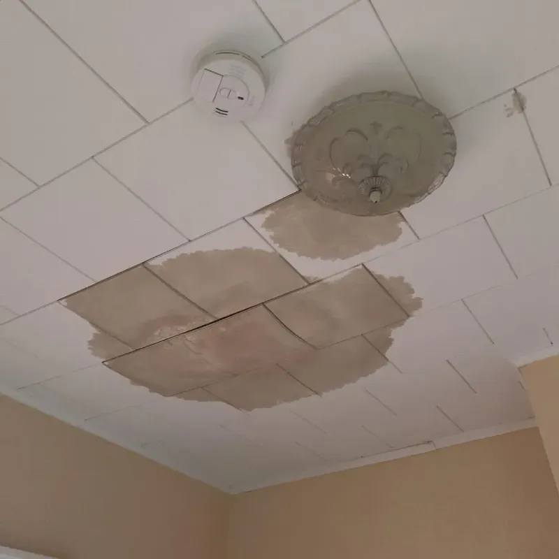 Ceiling Water Damage Repair in Trowbridge Park, MI