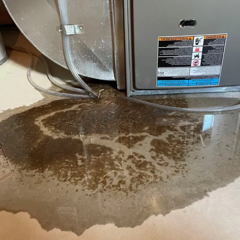 Pipe Burst and Leak Restoration in Trowbridge Park, MI