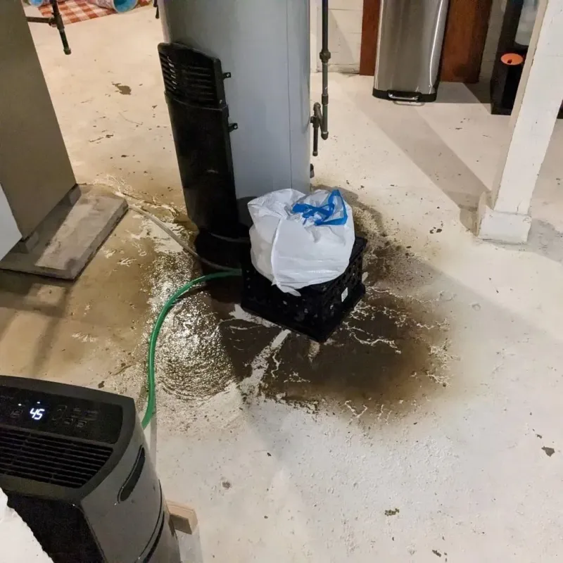 Sewage Backup Cleanup Service in Trowbridge Park, MI